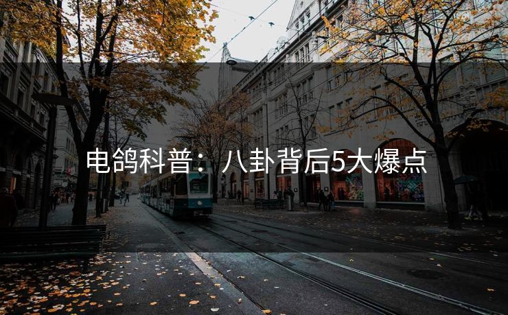 电鸽科普:八卦背后5大爆点
