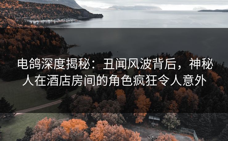电鸽深度揭秘:丑闻风波背后,神秘人在酒店房间的角色疯狂令人意外