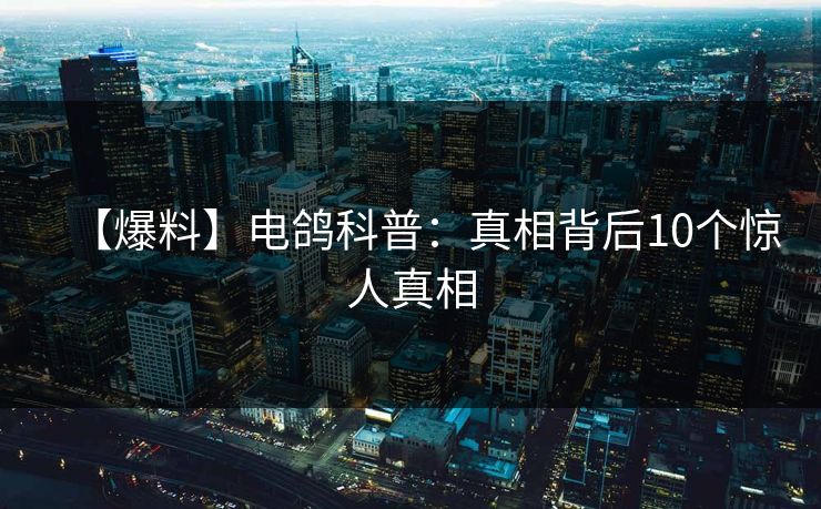 【爆料】电鸽科普：真相背后10个惊人真相