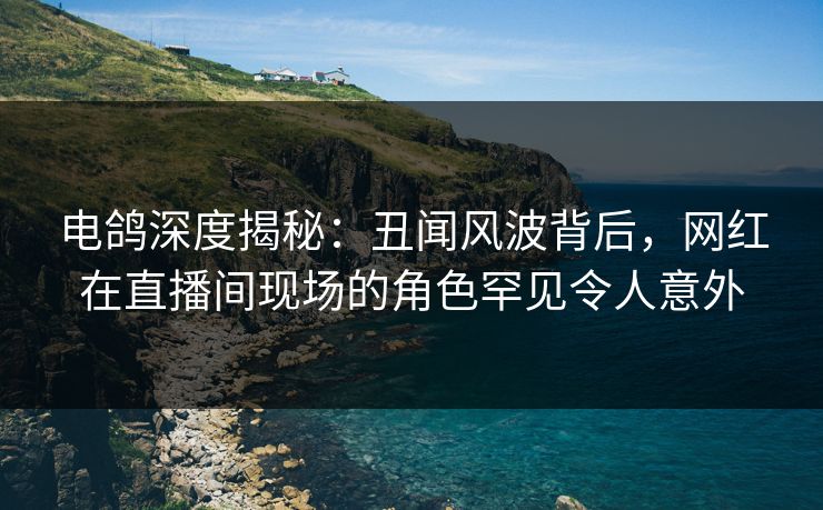 电鸽深度揭秘：丑闻风波背后，网红在直播间现场的角色罕见令人意外